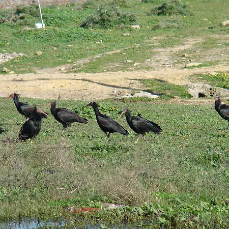 Tugasa Convento San Francisco Hotel